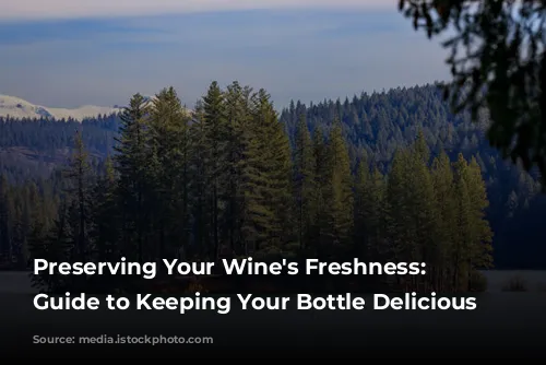  Preserving Your Wine's Freshness: A Guide to Keeping Your Bottle Delicious 