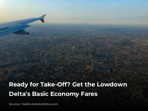 Ready for Take-Off?  Get the Lowdown on Delta's Basic Economy Fares