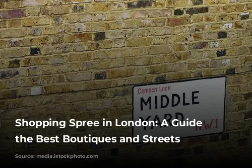 Shopping Spree in London: A Guide to the Best Boutiques and Streets