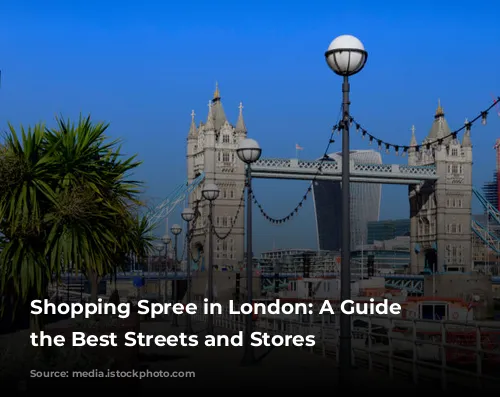 Shopping Spree in London: A Guide to the Best Streets and Stores