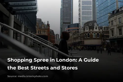 Shopping Spree in London: A Guide to the Best Streets and Stores