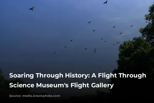 Soaring Through History: A Flight Through the Science Museum's Flight Gallery