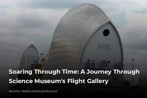 Soaring Through Time: A Journey Through the Science Museum's Flight Gallery