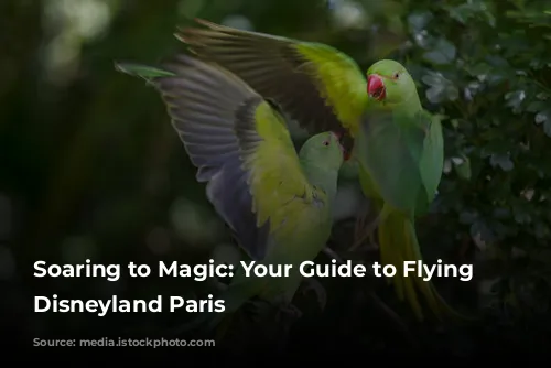 Soaring to Magic: Your Guide to Flying to Disneyland Paris