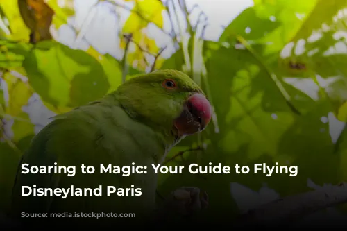 Soaring to Magic: Your Guide to Flying to Disneyland Paris