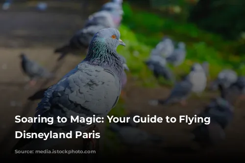 Soaring to Magic: Your Guide to Flying to Disneyland Paris