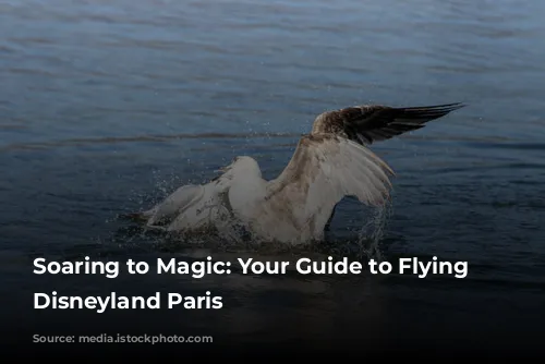 Soaring to Magic: Your Guide to Flying to Disneyland Paris