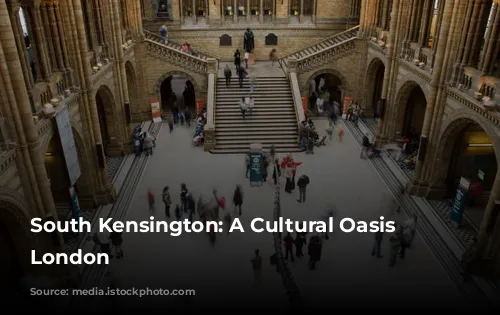 South Kensington: A Cultural Oasis in London