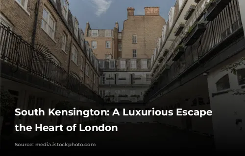 South Kensington: A Luxurious Escape in the Heart of London