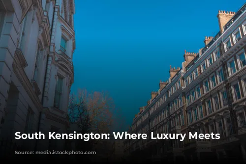 South Kensington: Where Luxury Meets Culture