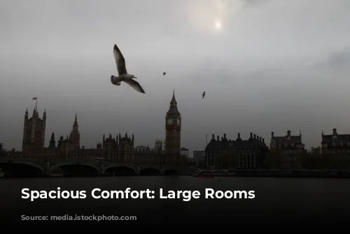 Spacious Comfort: Large Rooms