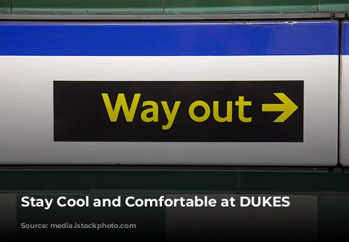 Stay Cool and Comfortable at DUKES London