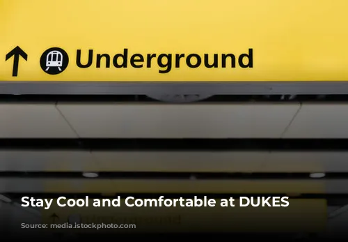 Stay Cool and Comfortable at DUKES London