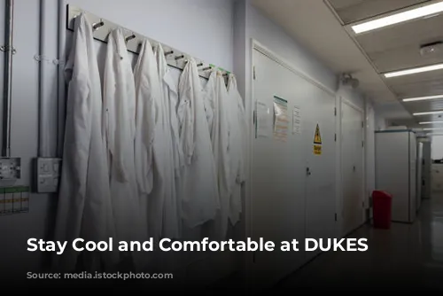 Stay Cool and Comfortable at DUKES London