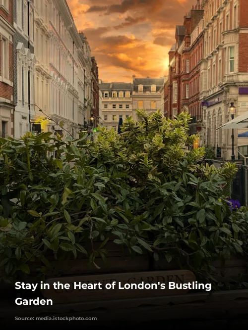 Stay in the Heart of London's Bustling Covent Garden