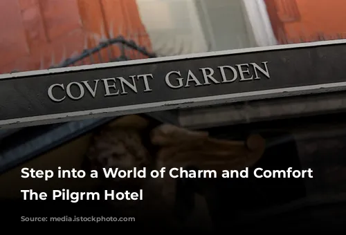 Step into a World of Charm and Comfort at The Pilgrm Hotel