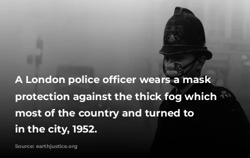 A London police officer wears a mask for protection against the thick fog which hit most of the country and turned to smog in the city, 1952.