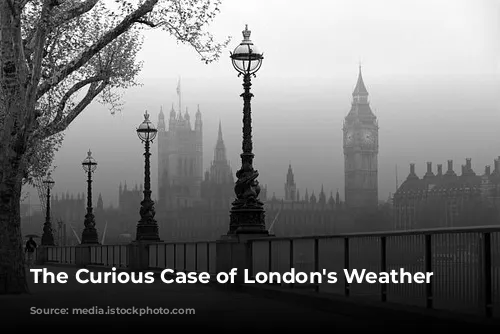 The Curious Case of London's Weather