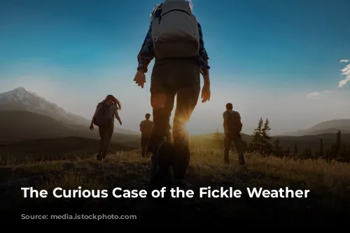 The Curious Case of the Fickle Weather Quote