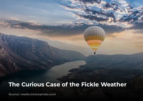 The Curious Case of the Fickle Weather Quote