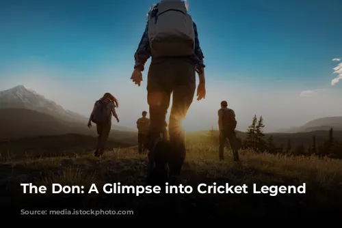 The Don: A Glimpse into Cricket Legend