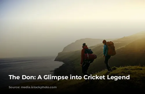 The Don: A Glimpse into Cricket Legend