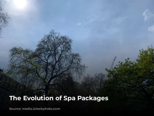 The Evolution of Spa Packages