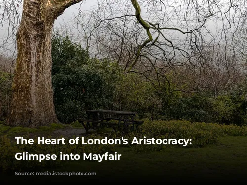 The Heart of London's Aristocracy: A Glimpse into Mayfair