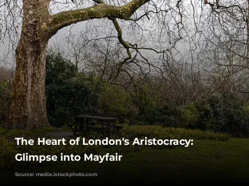 The Heart of London's Aristocracy: A Glimpse into Mayfair