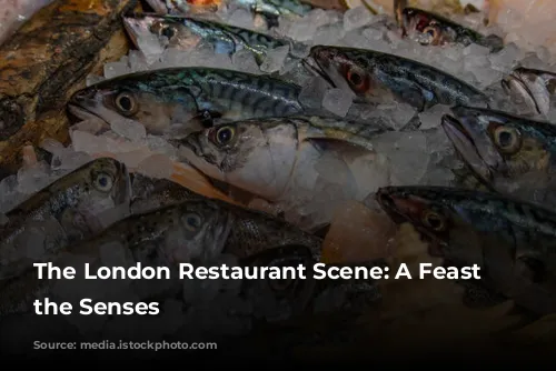 The London Restaurant Scene: A Feast for the Senses