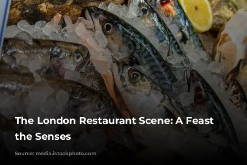 The London Restaurant Scene: A Feast for the Senses