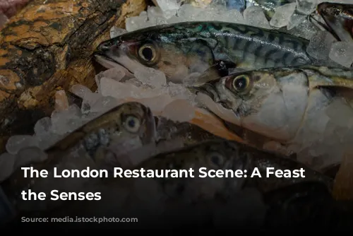 The London Restaurant Scene: A Feast for the Senses