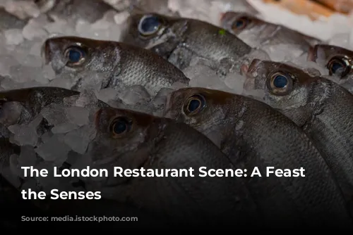 The London Restaurant Scene: A Feast for the Senses