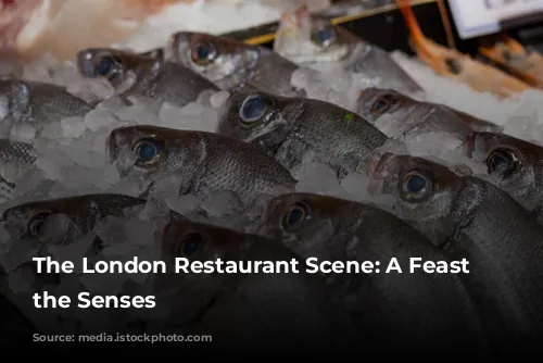 The London Restaurant Scene: A Feast for the Senses