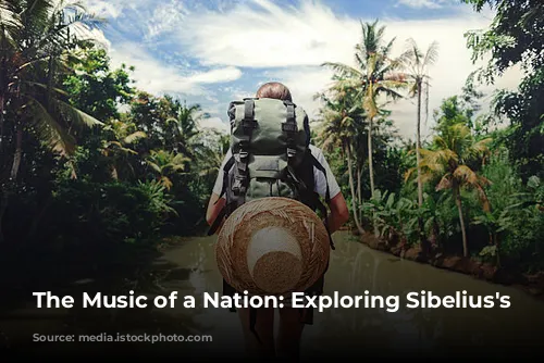 The Music of a Nation: Exploring Sibelius's Symphonies