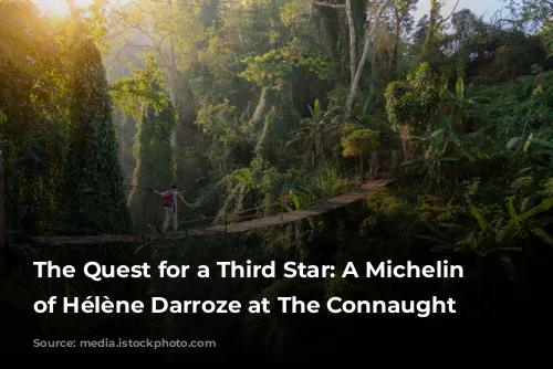 The Quest for a Third Star: A Michelin Review of Hélène Darroze at The Connaught