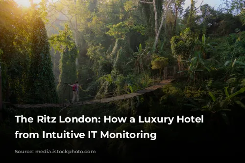 The Ritz London:  How a Luxury Hotel Benefits from Intuitive IT Monitoring