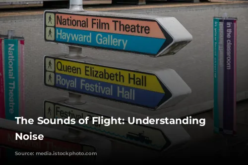 The Sounds of Flight: Understanding Aircraft Noise