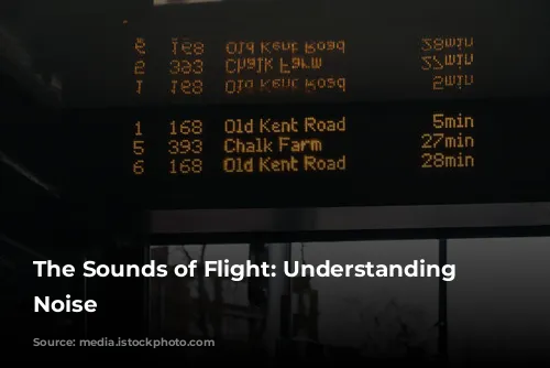 The Sounds of Flight: Understanding Aircraft Noise