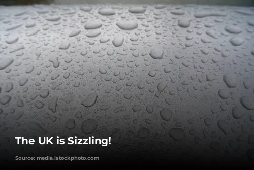 The UK is Sizzling!