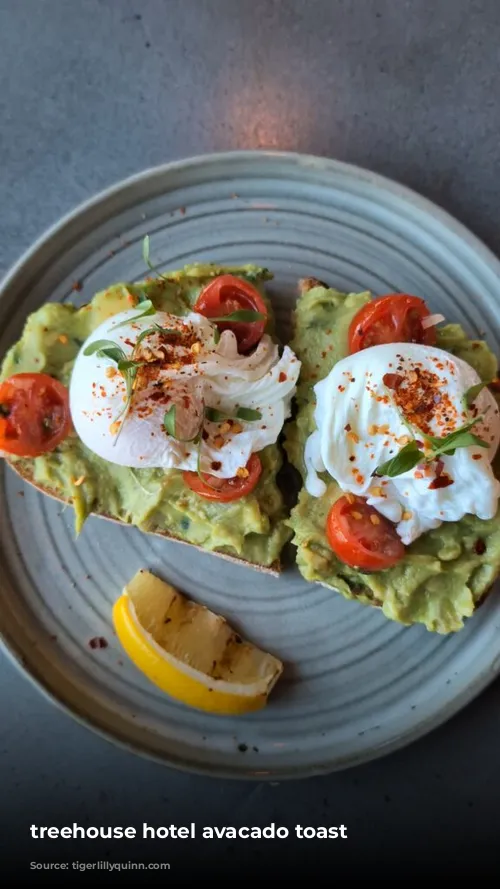 treehouse hotel avacado toast