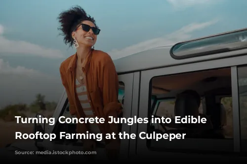 Turning Concrete Jungles into Edible Oases: Rooftop Farming at the Culpeper