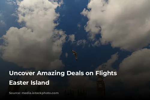 Uncover Amazing Deals on Flights to Easter Island