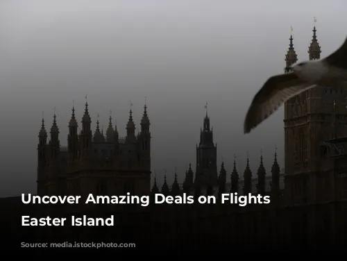 Uncover Amazing Deals on Flights to Easter Island