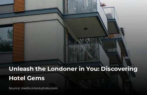 Unleash the Londoner in You: Discovering Cheap Hotel Gems