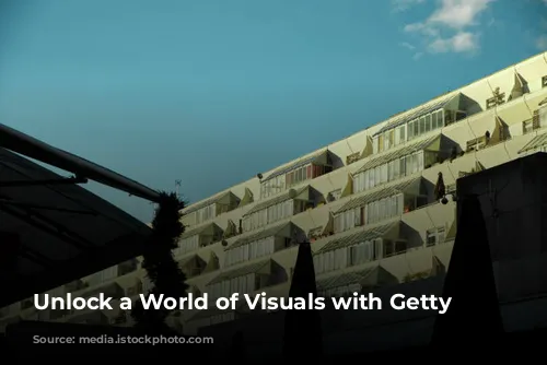 Unlock a World of Visuals with Getty Images