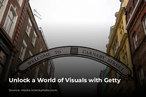 Unlock a World of Visuals with Getty Images