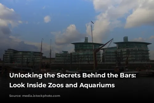 Unlocking the Secrets Behind the Bars: A Look Inside Zoos and Aquariums