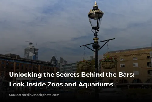 Unlocking the Secrets Behind the Bars: A Look Inside Zoos and Aquariums