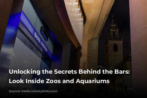 Unlocking the Secrets Behind the Bars: A Look Inside Zoos and Aquariums